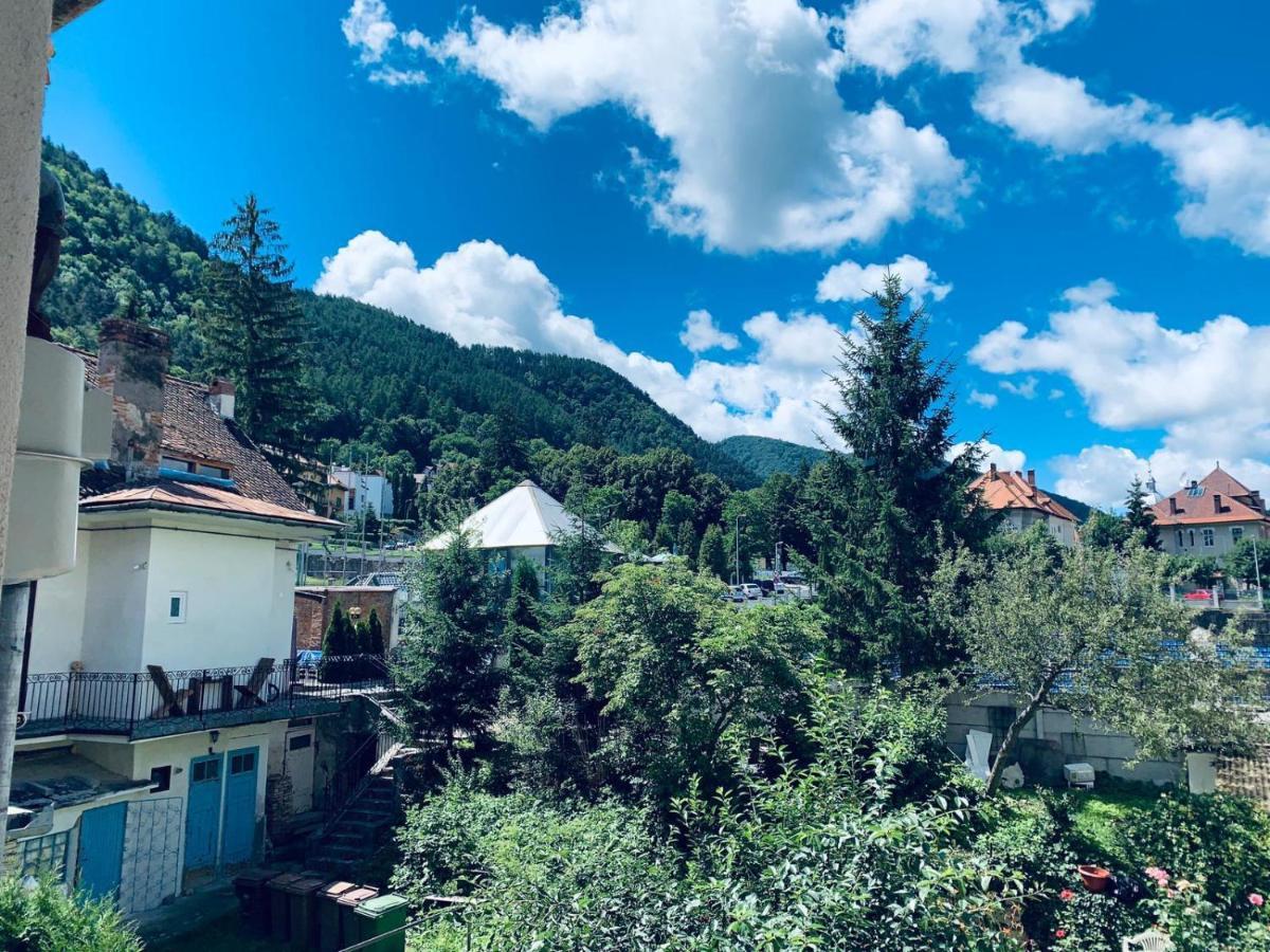 Studio cu vedere spre munte