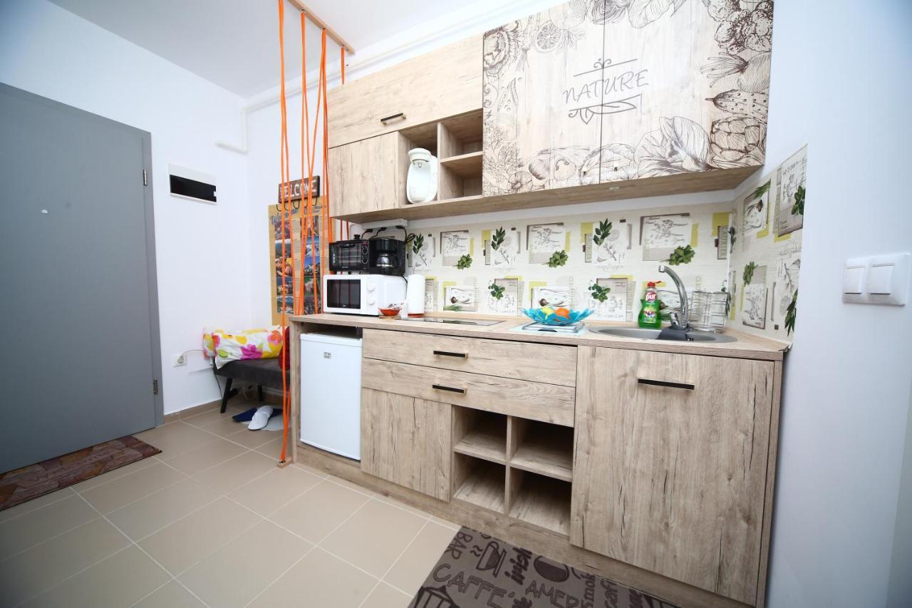 Apartament cu vedere la munte