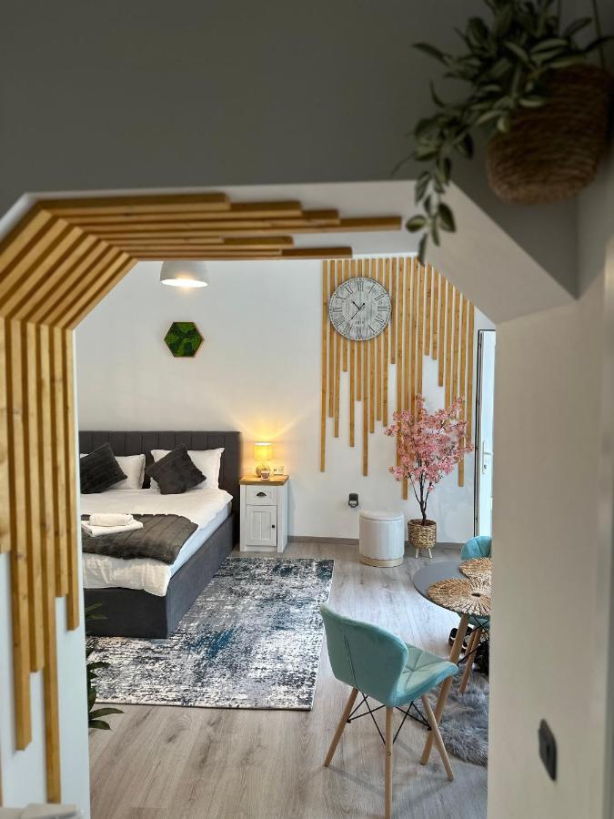 Apartament cu 1 dormitor