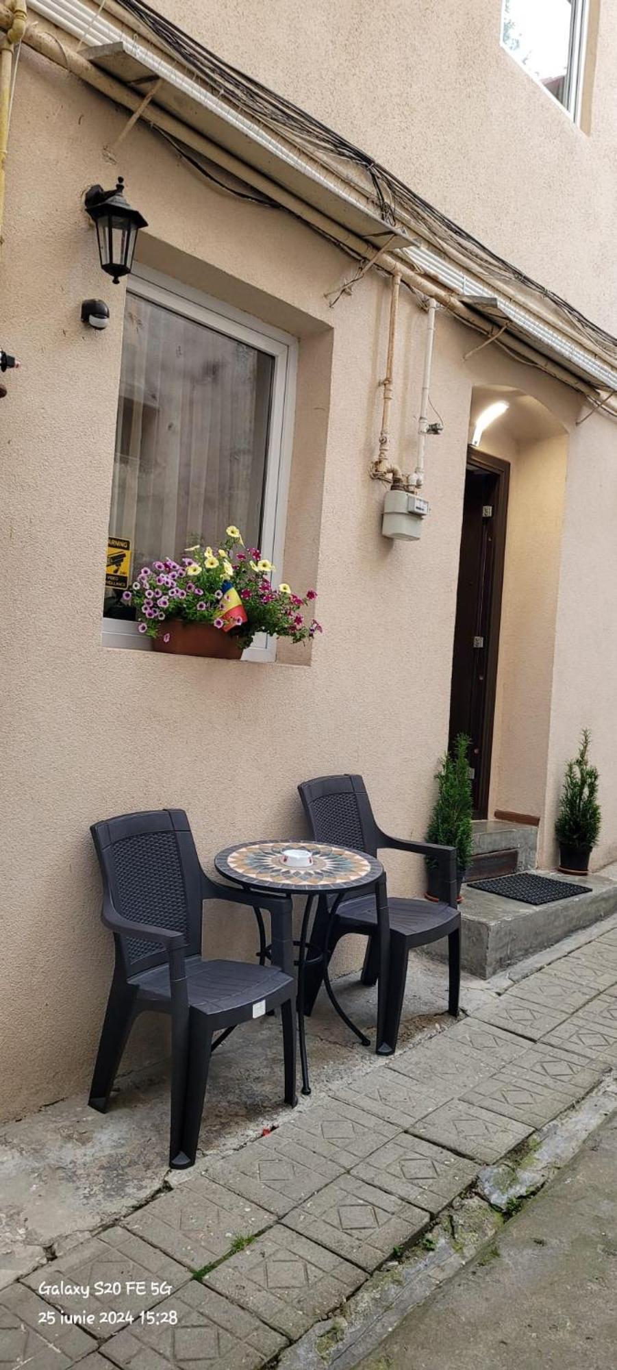 Apartament cu vedere la munte