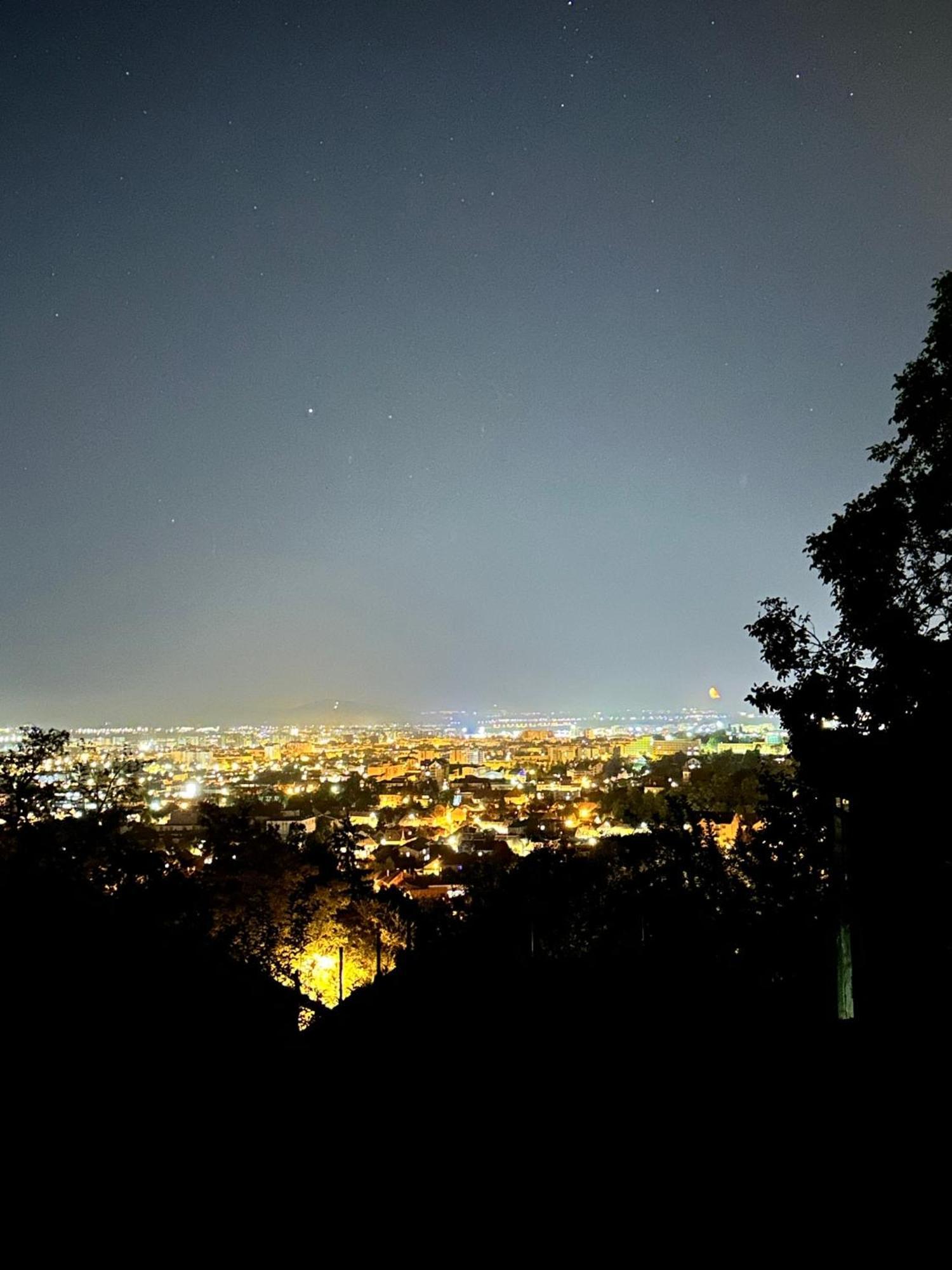 Studio cu vedere la grădină