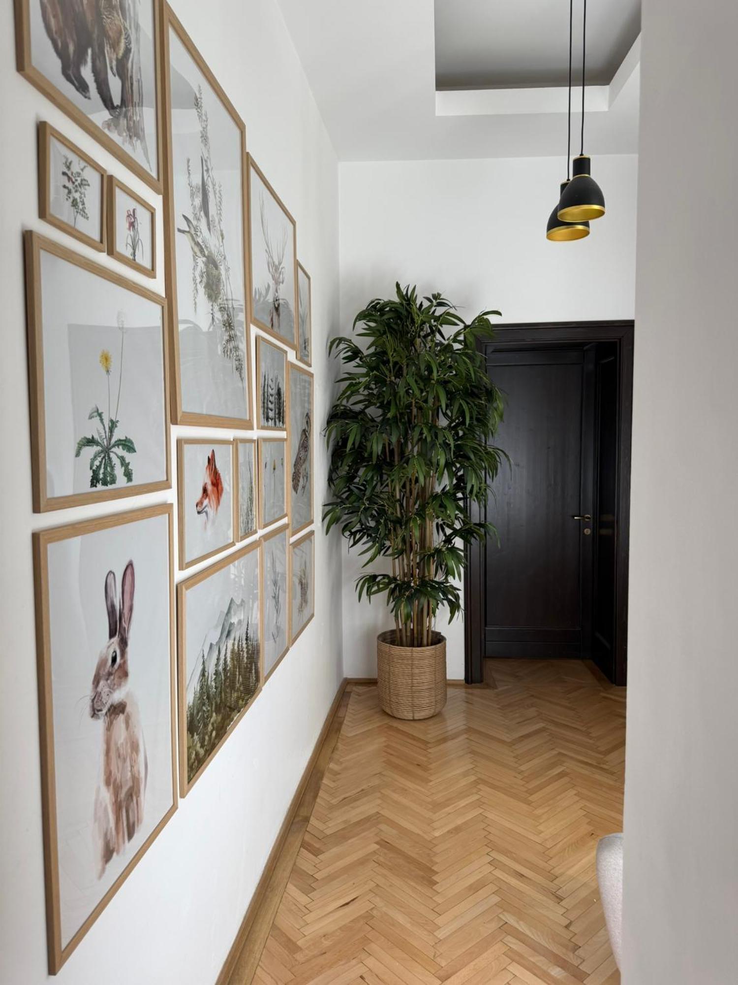 Apartament cu 1 dormitor