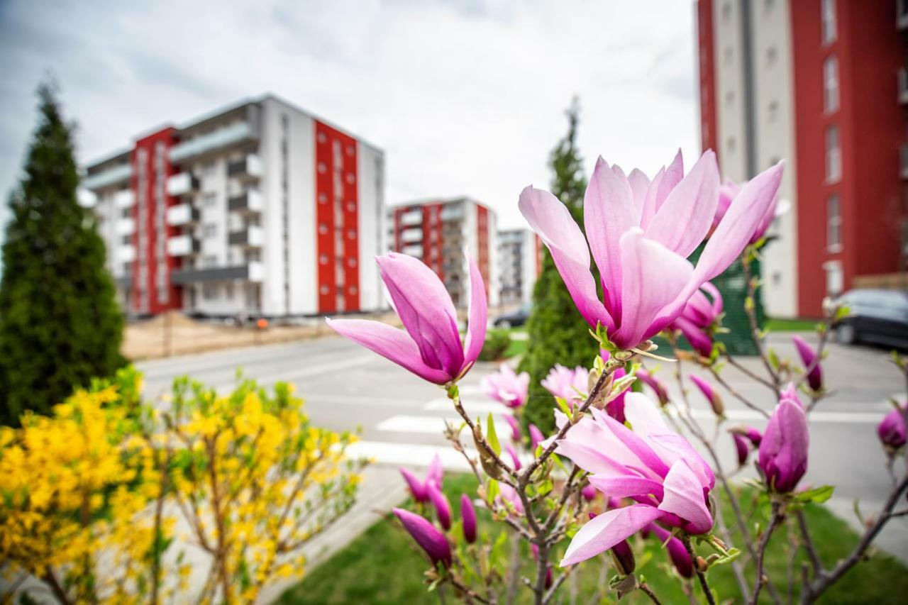 Apartament cu vedere la munte