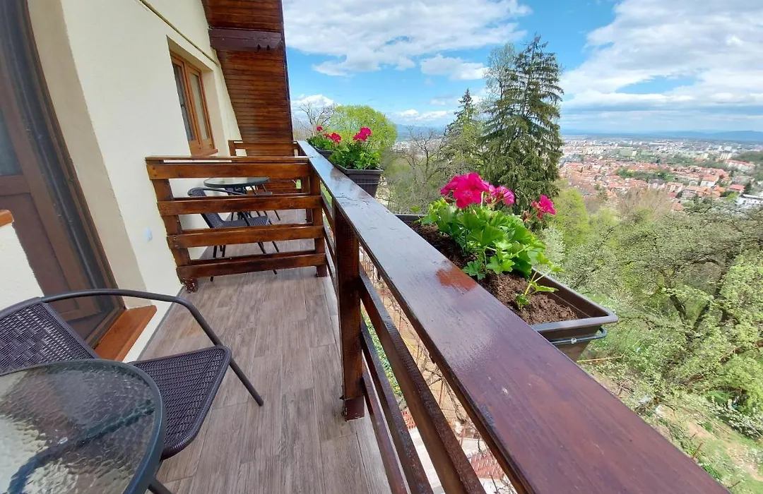 Apartament Matei-1