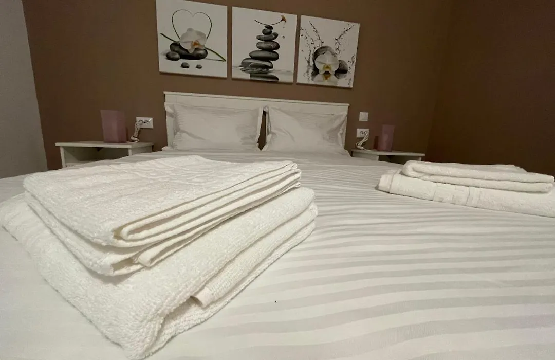 Schei Central Studio Rooms In The Heart Of Brasov-1