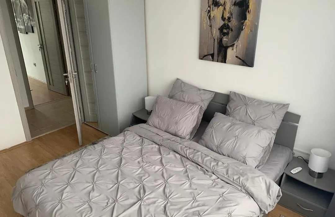 Victoriei Boulevard Private Apartment-1