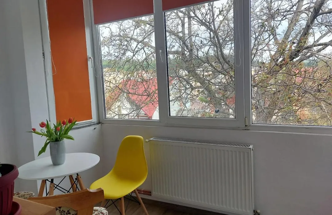 Apartament spatios in Brasov-1