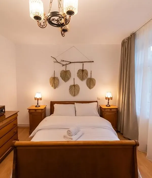 Radu'S - Traditional Ultracentral Apartment In The Old Town-1