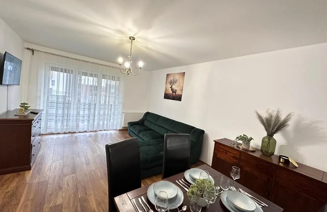 Cozy Studios And Apartments At Maurer Residence Brasov-1