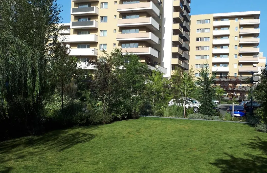 Wonderful Apartment-1