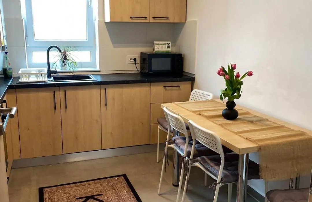 Alina Residence Coresi-1