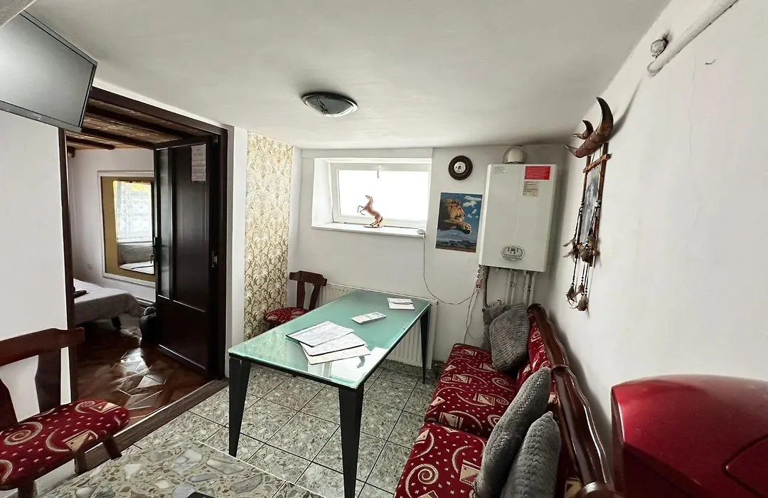 Casa Nicolae Teclu-1