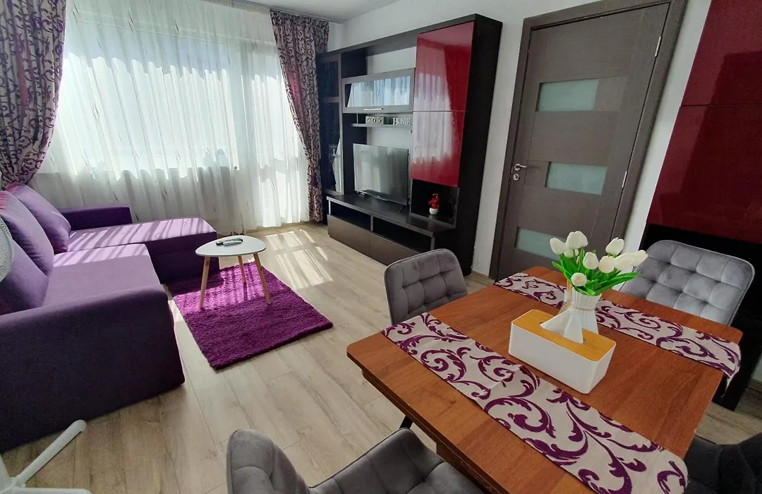 Andrei Apartment Brasov-1