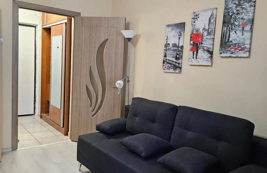 Cozy Studio Coresi-1