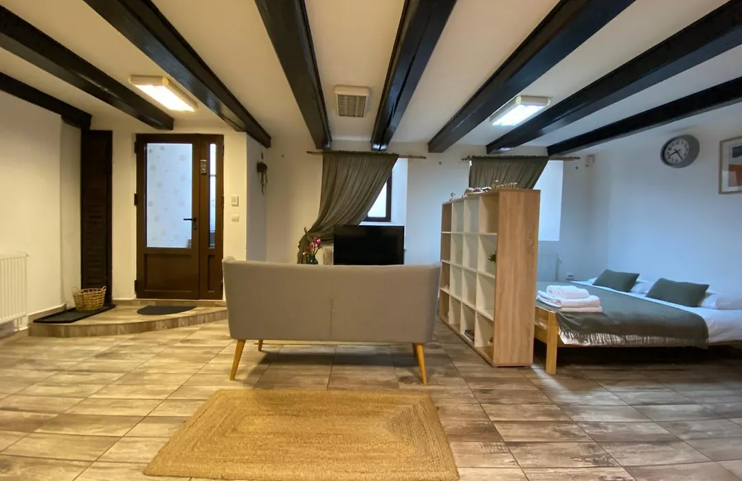 Piața Sfatului Brassai Plus - Annastasia's Studio-1