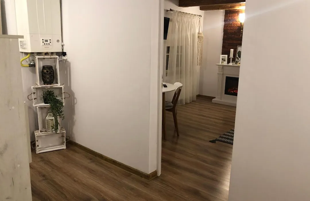 Cozy Residence Brasov-1