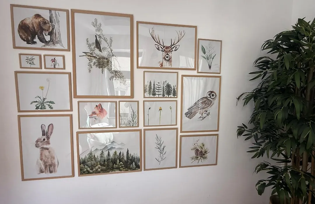 Nature-Inspired Stay in Piata Sfatului Brasov-1