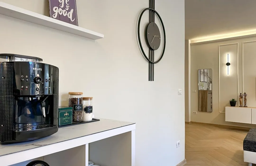 Central Brasov Apartment-1