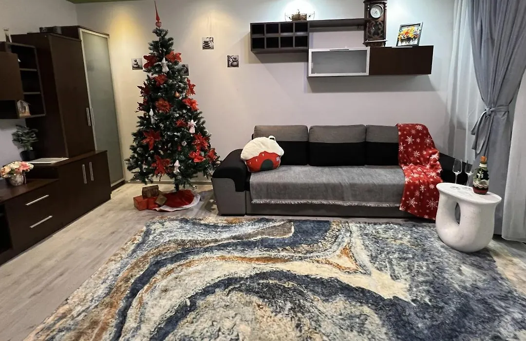 Ana Lux Apartments Brasov-1