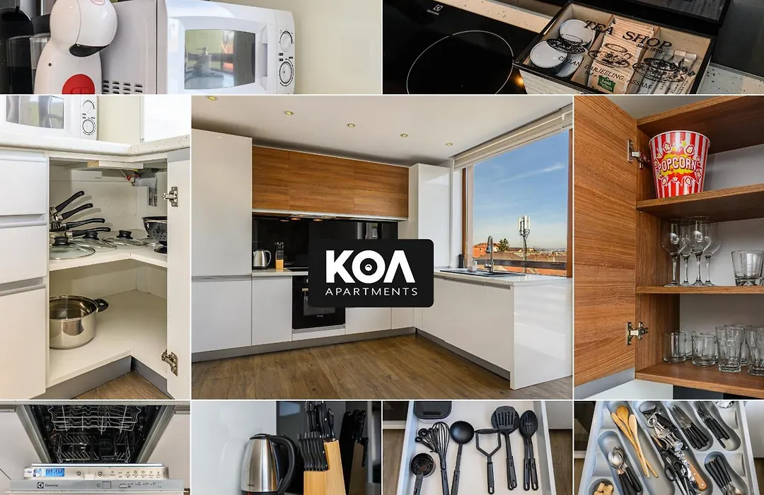 Koa - Memo Haus-1