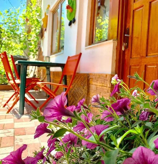 Charming Central Stay & Parking - 2 Bedroom House-1