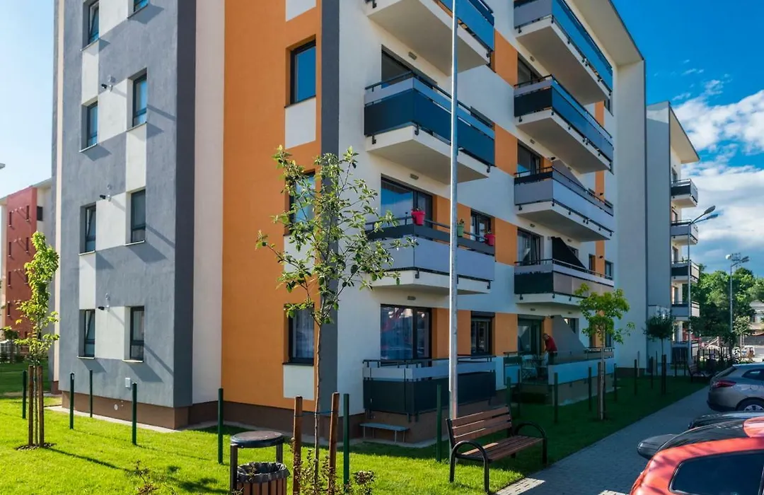 Friendly Rentals Brasov-1