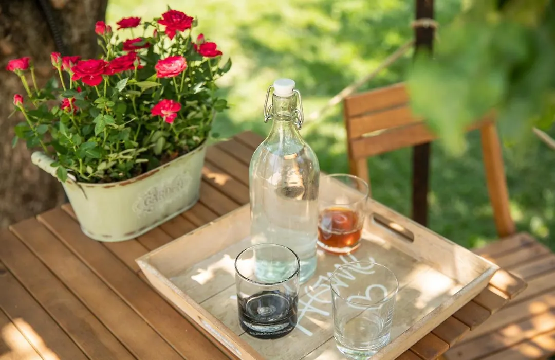 Dragonfly Studio With Garden & Free Private Parking-1
