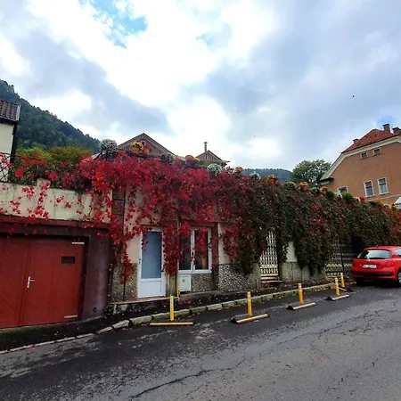 Nomad Apartment Braşov-2