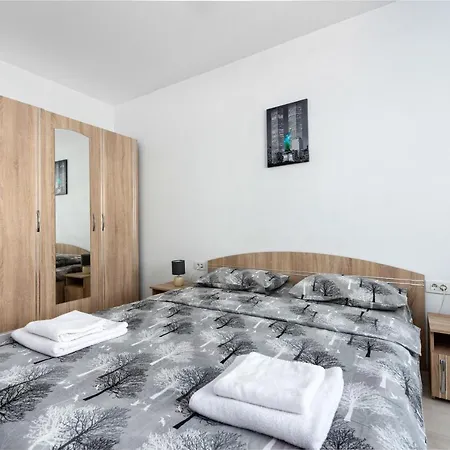 Apartament Mini Palais Brasov-3