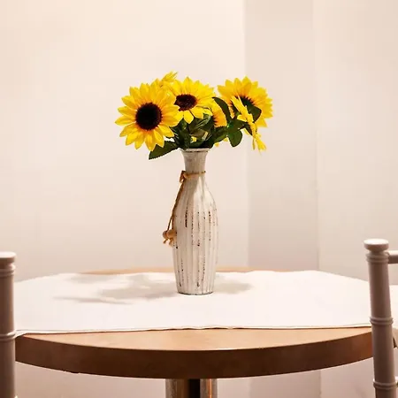 Diac Apartment Center Brasov-3