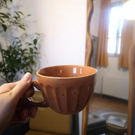 Codicei Studio-3