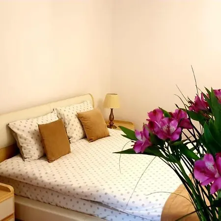 Brasov Studio-2