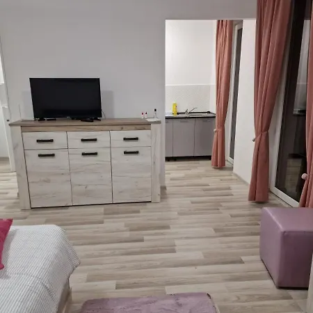 Central Studio Stefan-Brasov-2