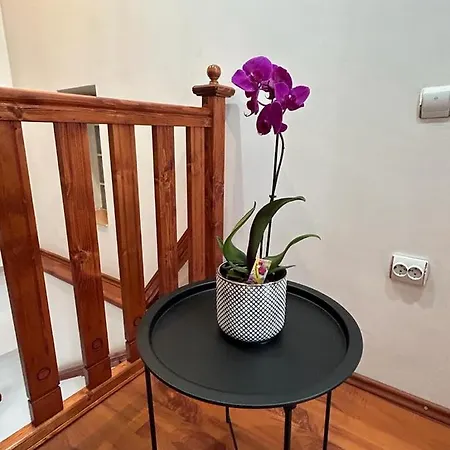 Easy Living Apartments - Old Town-2