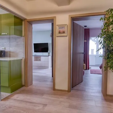 Central Luxury Apartment With City View-3