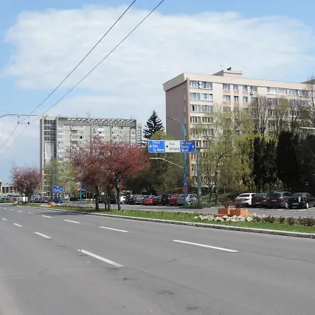 Victoriei Boulevard Private Apartment-2