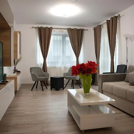 Brigitte Apartment Brasov-2