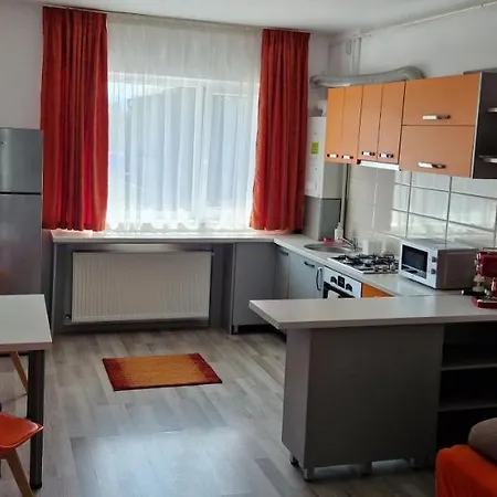 Friendly Rentals Vivamus-3