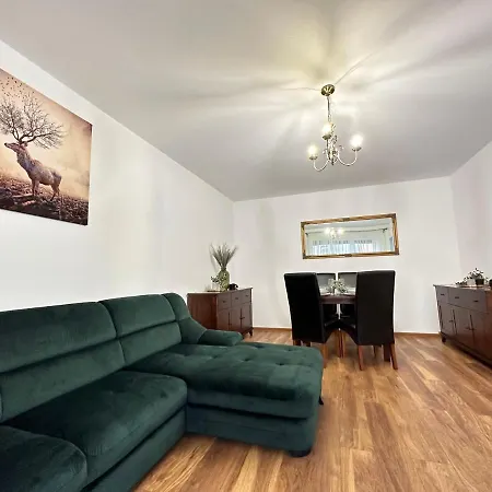 Cozy Studios And Apartments At Maurer Residence Brasov-3