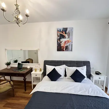 Cozy Studios And Apartments At Maurer Residence Brasov-2