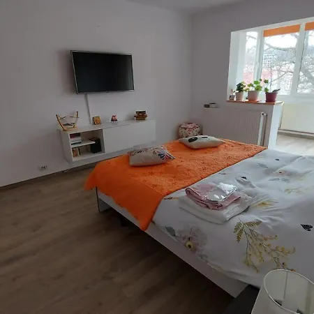 Apartament spatios in Brasov-2