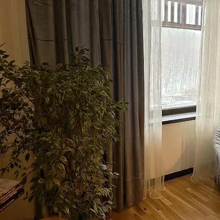 Apartament “La Iepure”-3