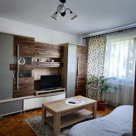 Studio Bulevardul Victoriei-3