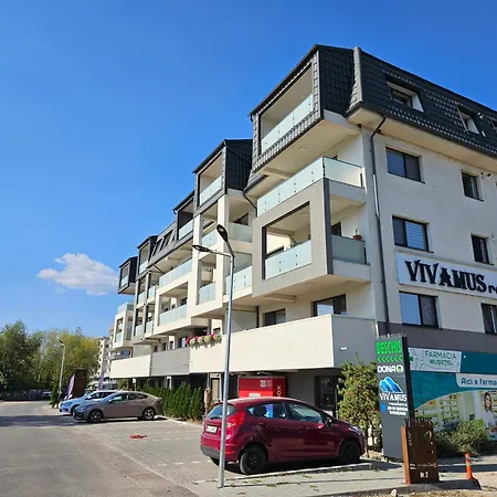 Vivamus Studio-3