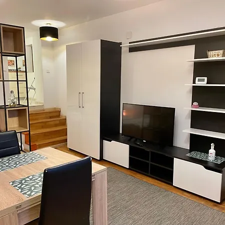 Tampa Residence-2