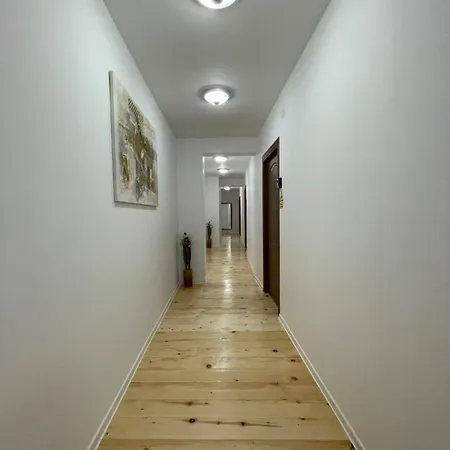 Schei Central Studio Rooms In The Heart Of Brasov-2
