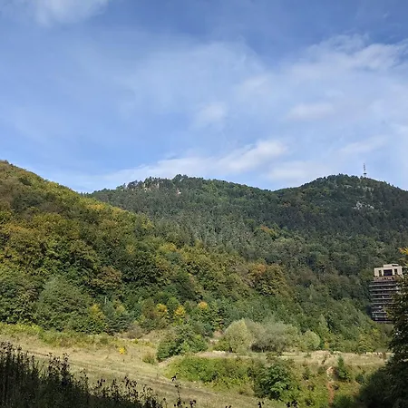 Tampa Mountain Nature Hideaway - Luxury Rentals-3