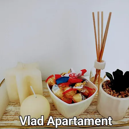 Vlad Apartament Astra-2