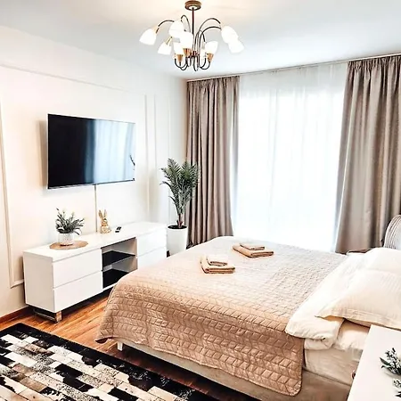 Cozy Stylish Studio-2