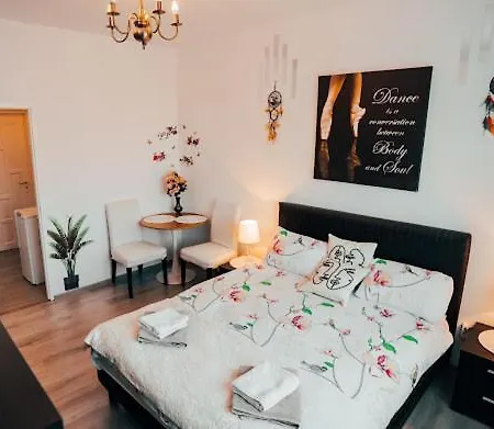 Casa David - Near - Coresi Plaza -Cozy Studios And Flats #Brasov-3